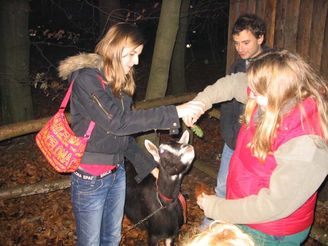 Waldweihnacht 2006