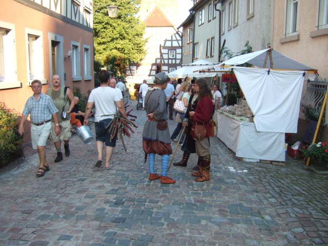 Auf gro�er Fahrt mit der MS Europa