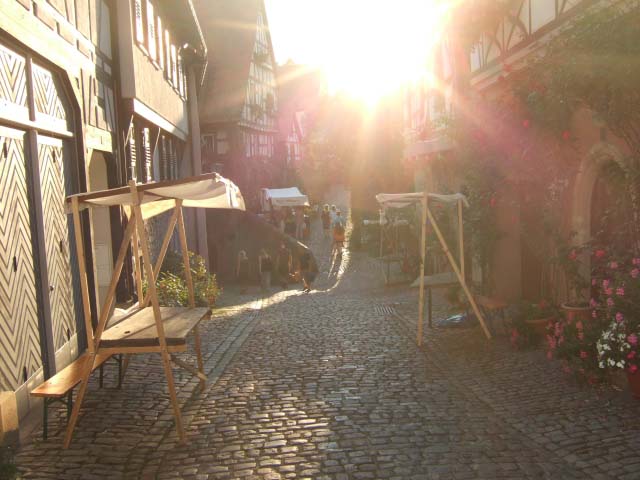 Auf gro�er Fahrt mit der MS Europa