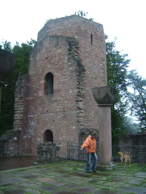 Wanderung - Auf Heidelbergs 'heiligen Berg'