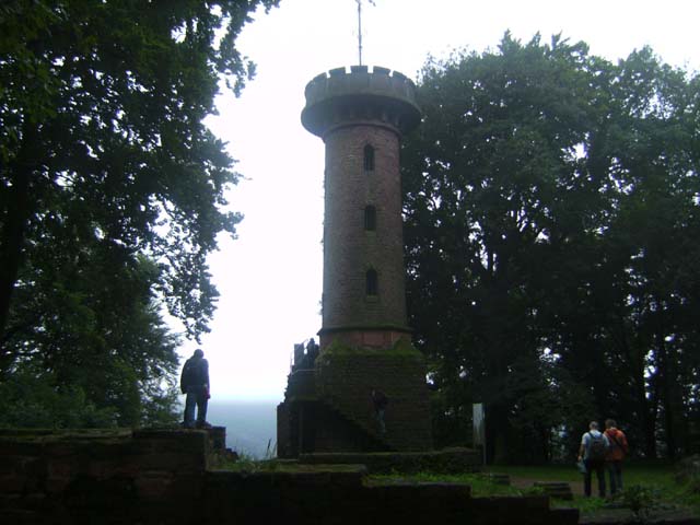 Wanderung - Auf Heidelbergs 'heiligen Berg'