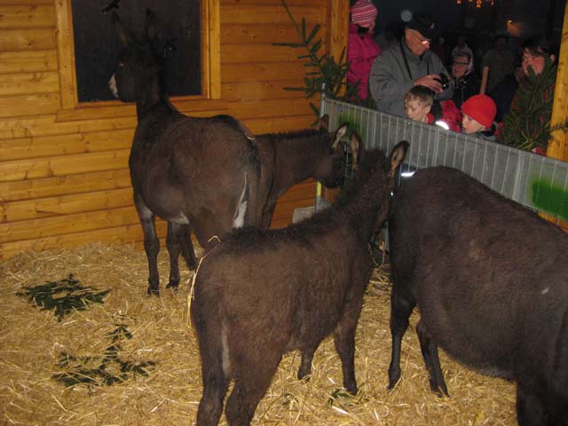 Waldweihnacht 2008
