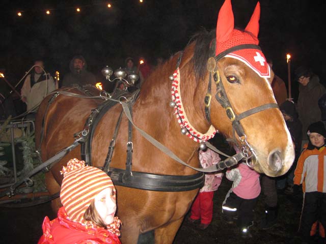 Waldweihnacht 2008