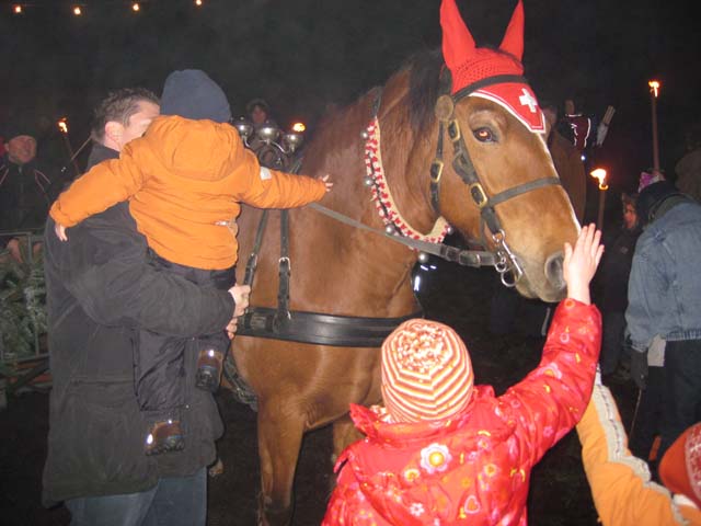 Waldweihnacht 2008
