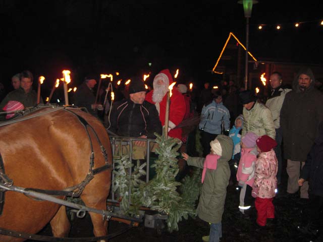 Waldweihnacht 2008