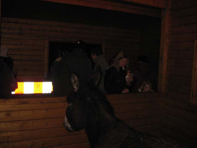 Waldweihnacht 2008