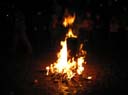 Waldweihnacht 2008