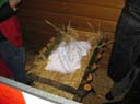 Waldweihnacht 2008
