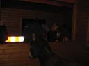 Waldweihnacht 2008