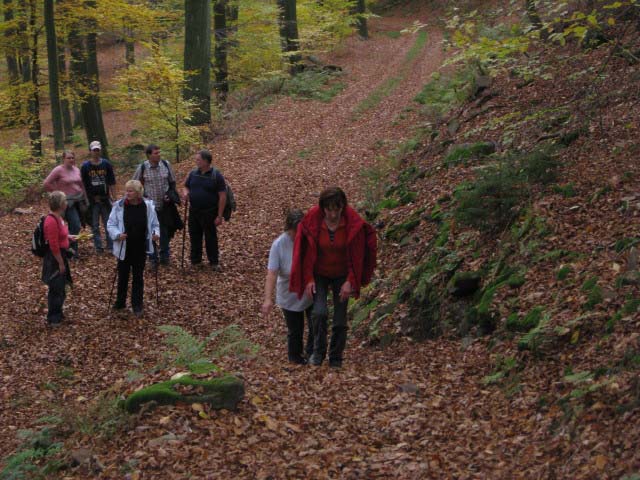 Rund ums Peterstal und Ziegelhausen