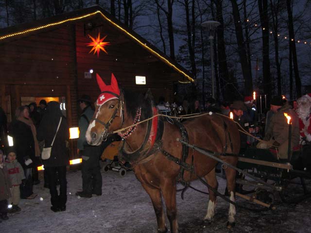 Waldweihnacht 2009