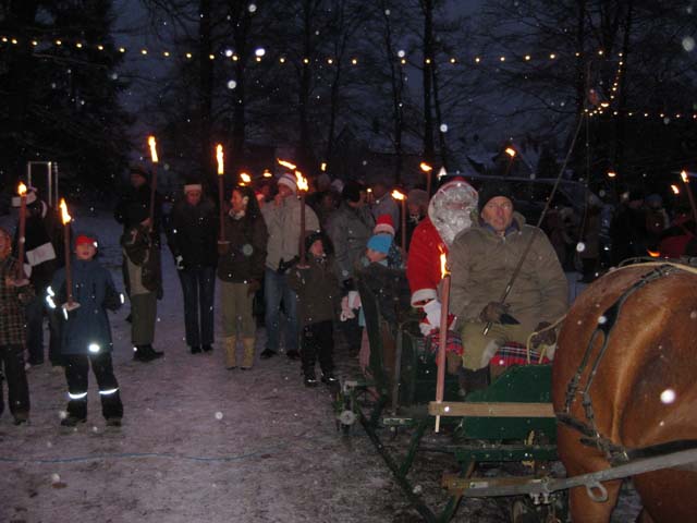 Waldweihnacht 2009