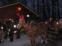 Waldweihnacht 2009