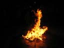Waldweihnacht 2009