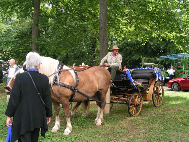 Festumzug 300 Jahre Wilhelmsfeld