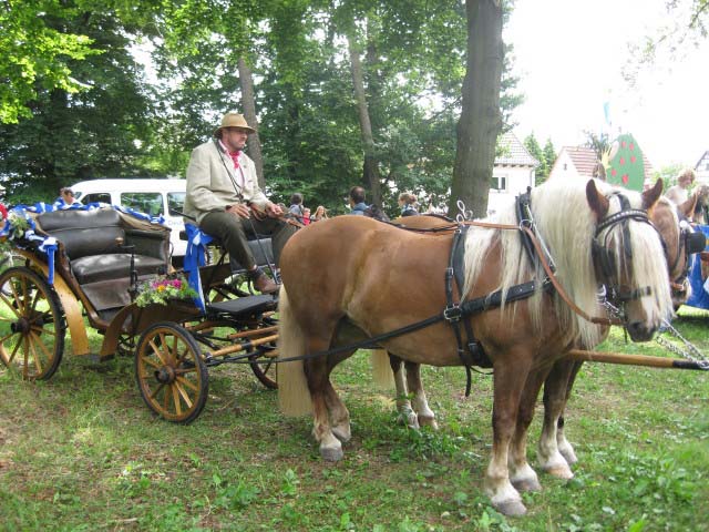 Festumzug 300 Jahre Wilhelmsfeld