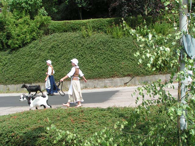 Festumzug 300 Jahre Wilhelmsfeld