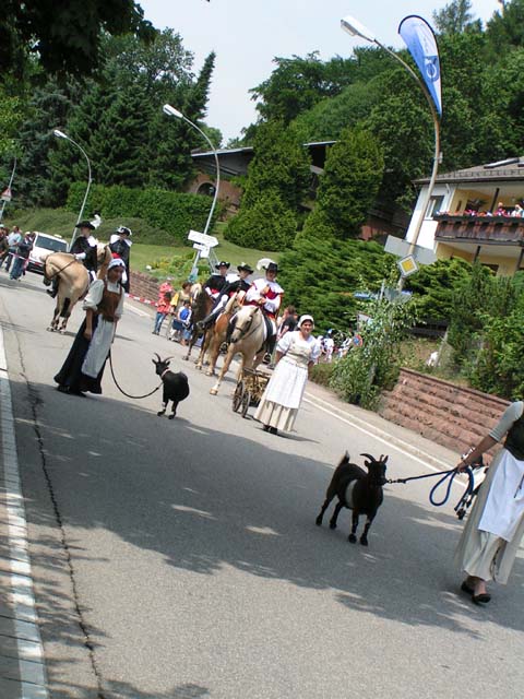 Festumzug 300 Jahre Wilhelmsfeld