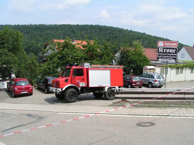 Festumzug 300 Jahre Wilhelmsfeld