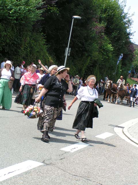 Festumzug 300 Jahre Wilhelmsfeld