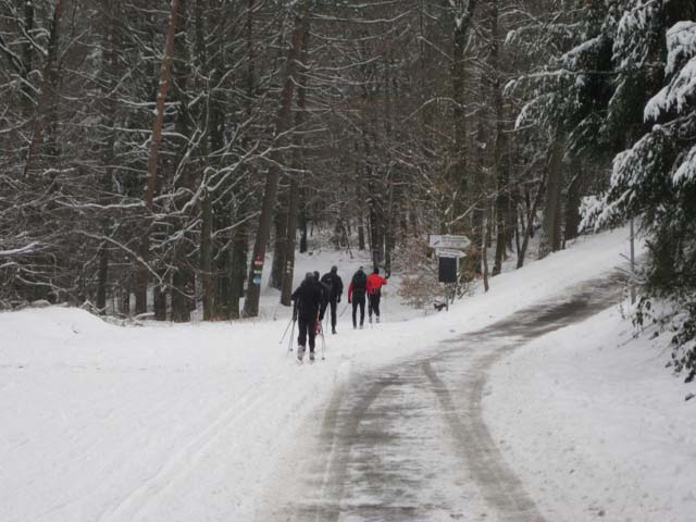 Loipenbetrieb am 10.Januar 2010
