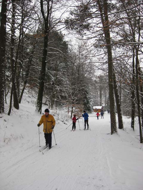 Loipenbetrieb am 10.Januar 2010