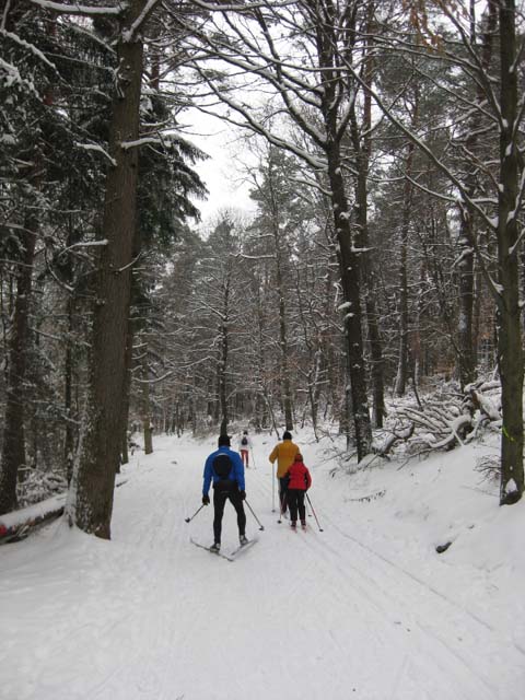 Loipenbetrieb am 10.Januar 2010