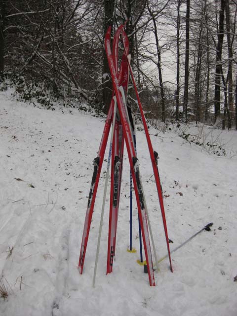 Loipenbetrieb am 10.Januar 2010