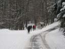 Loipenbetrieb am 10.Januar 2010