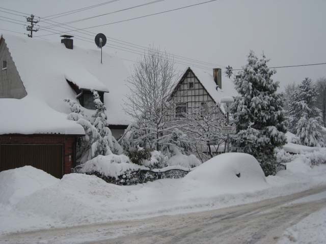 Loipenbetrieb am 31.Januar 2010