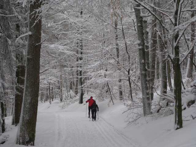 Loipenbetrieb am 31.Januar 2010