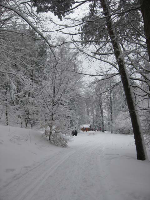 Loipenbetrieb am 31.Januar 2010