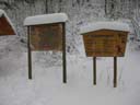 Loipenbetrieb am 31.Januar 2010