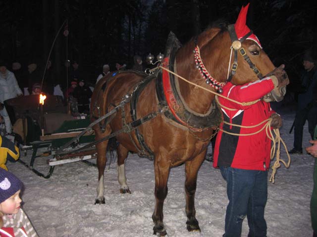 Waldweihnacht 2010