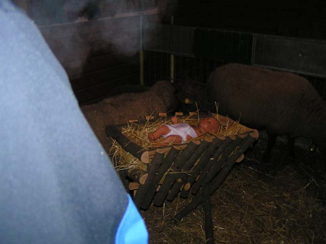 Waldweihnacht 2010