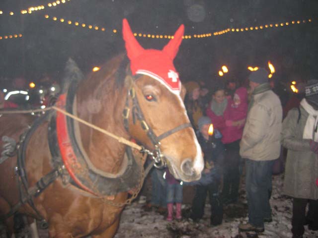Waldweihnacht 2011