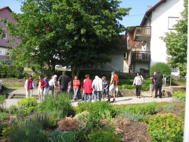 Rund ums Peterstal und Ziegelhausen