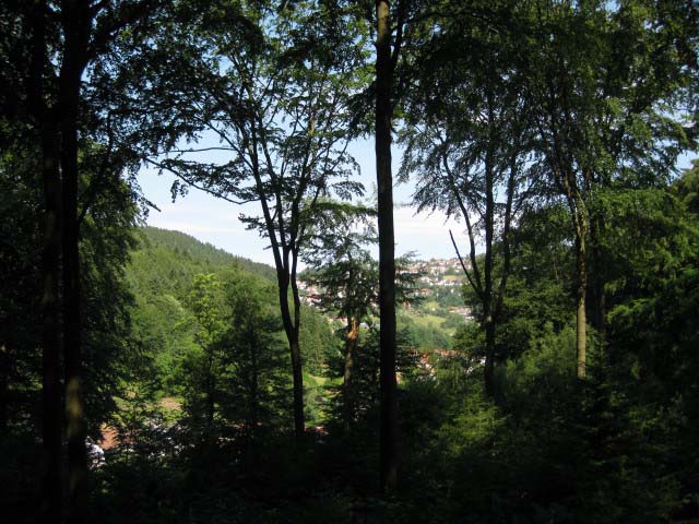 Rund ums Peterstal und Ziegelhausen