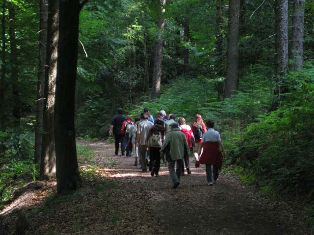 Rund ums Peterstal und Ziegelhausen