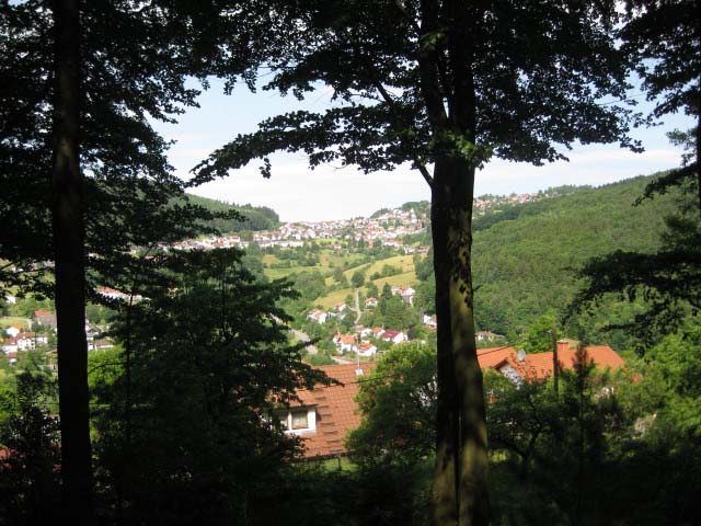 Rund ums Peterstal und Ziegelhausen