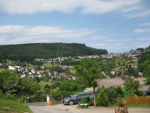 Rund ums Peterstal und Ziegelhausen