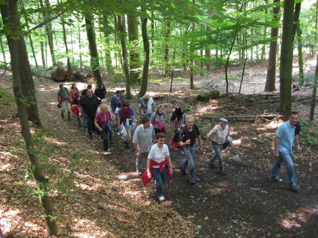 Rund ums Peterstal und Ziegelhausen