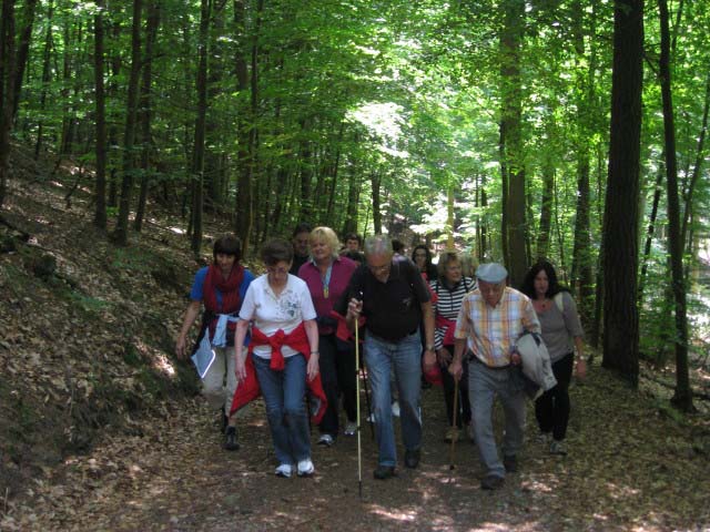 Rund ums Peterstal und Ziegelhausen