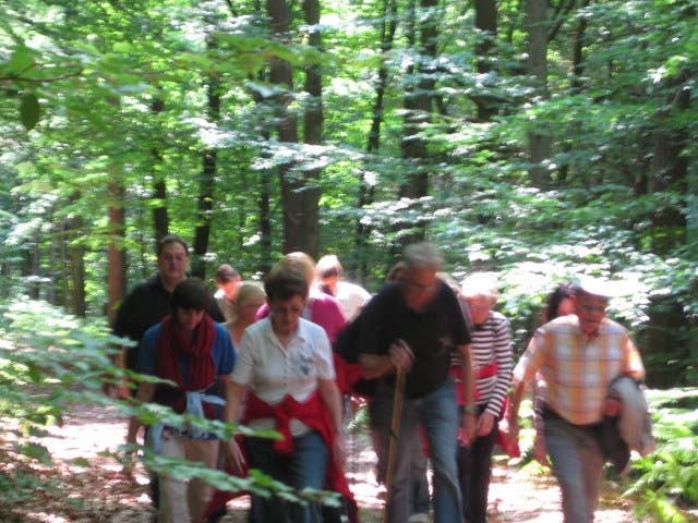 Rund ums Peterstal und Ziegelhausen