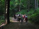 Rund ums Peterstal und Ziegelhausen