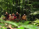 Rund ums Peterstal und Ziegelhausen