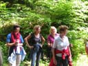 Rund ums Peterstal und Ziegelhausen