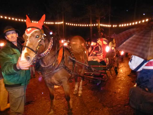 Waldweihnacht 2012
