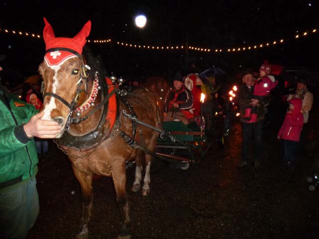 Waldweihnacht 2012