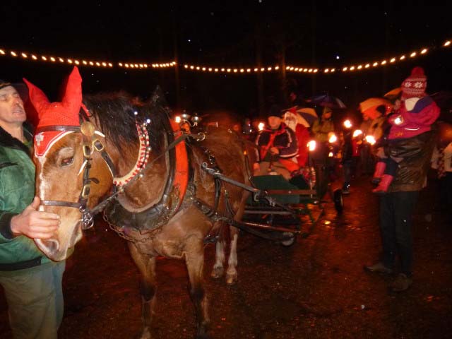 Waldweihnacht 2012